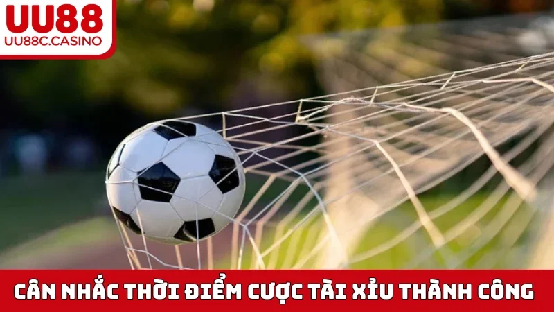 Cân nhắc thời điểm cược Tài Xỉu thành công